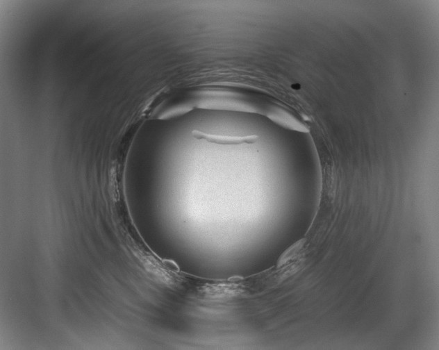 X0000084030378200702161441