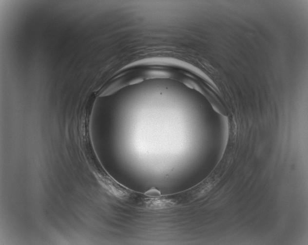 X0000084030379200702161441