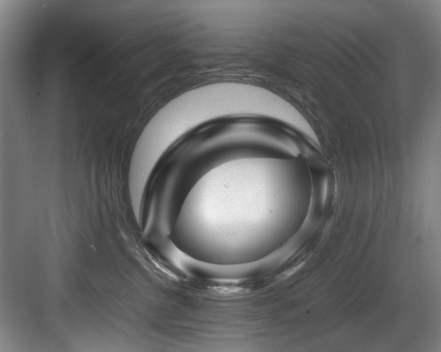 X0000084030380200702161441