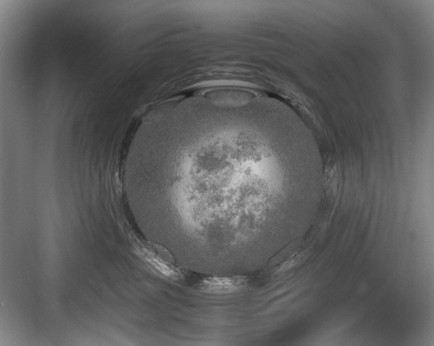 X0000084030381200702161441