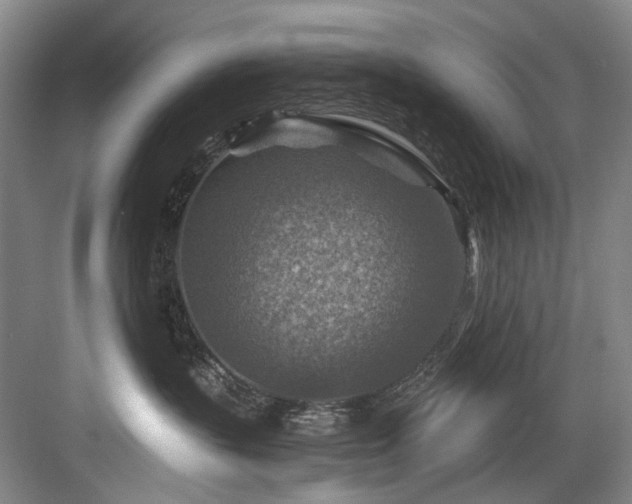 X0000084030383200702161441