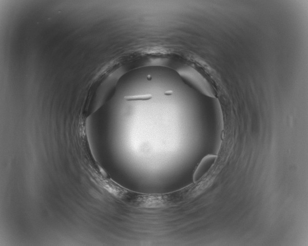 X0000084030384200702161441