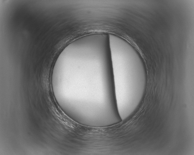 X0000084030386200702161440