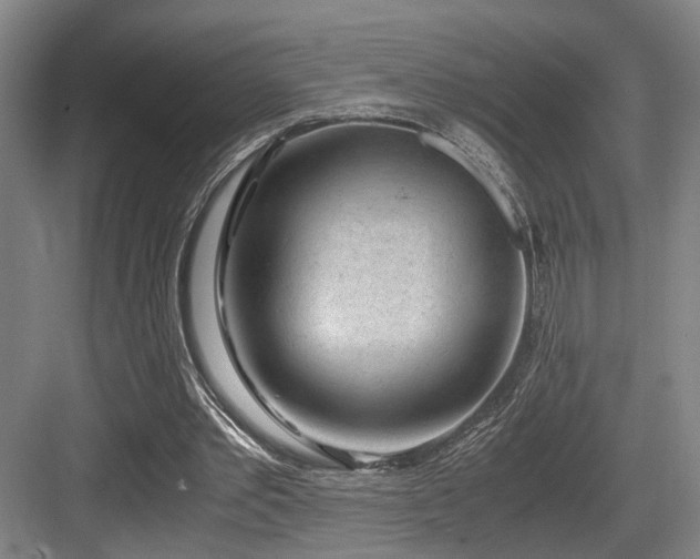 X0000084030389200702161440