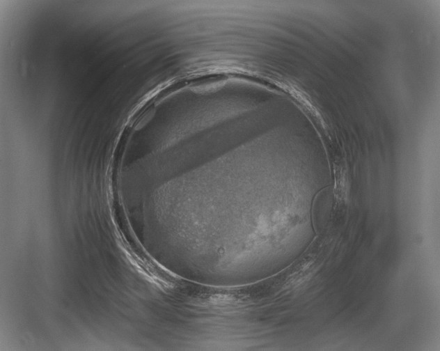 X0000084030390200702161440