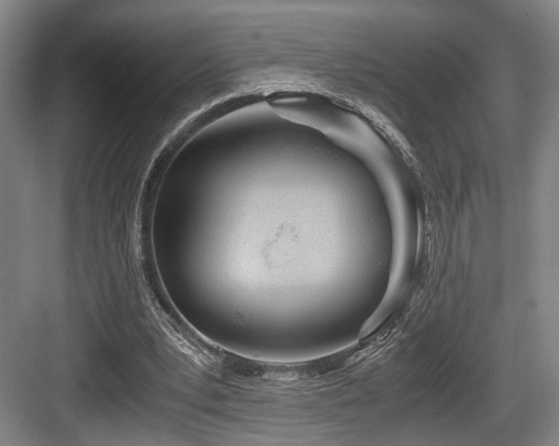 X0000084030391200702161440