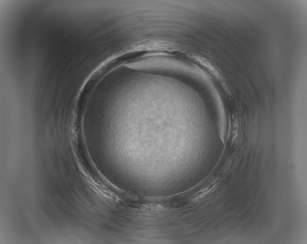 X0000084030392200702161440