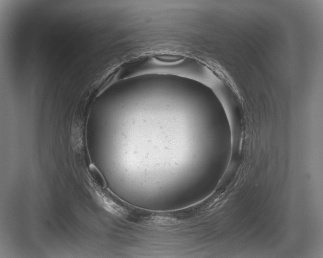 X0000084030393200702161440