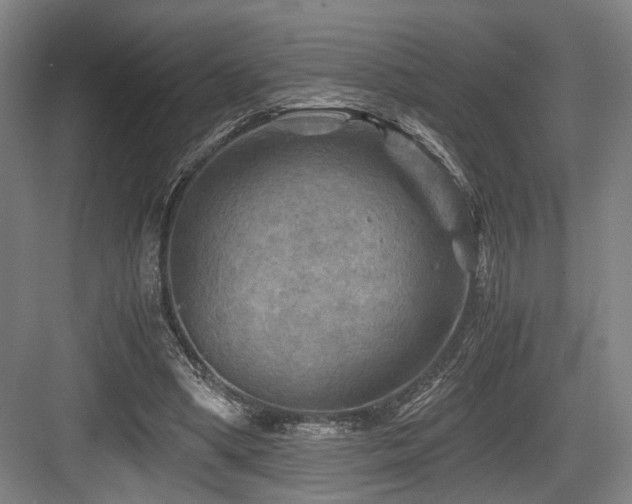 X0000084030394200702161440