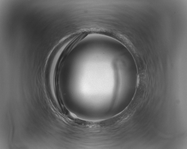 X0000084030395200702161440