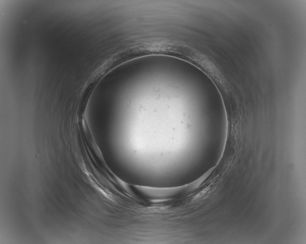 X0000084030397200702161440