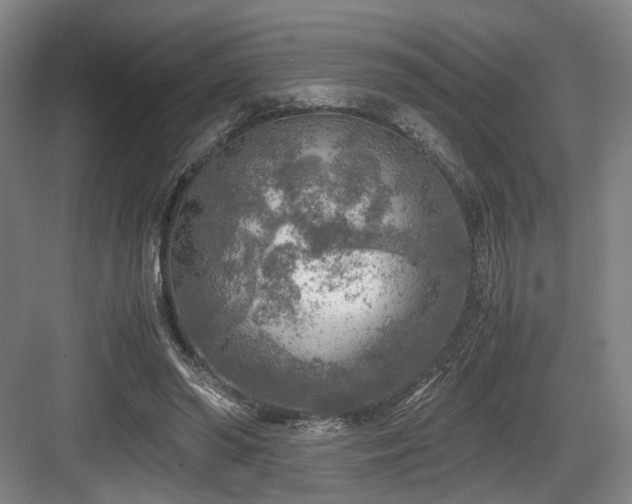 X0000084030398200702161440