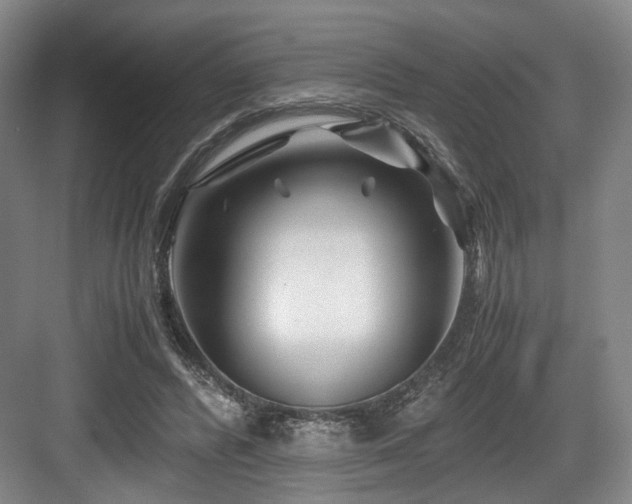 X0000084030400200702161440