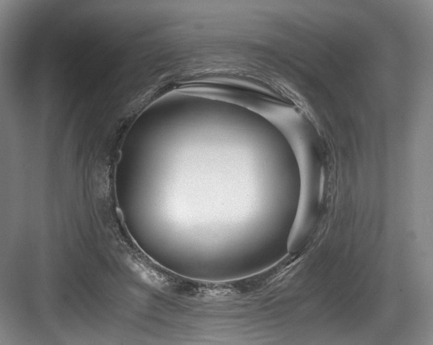 X0000084030401200702161440