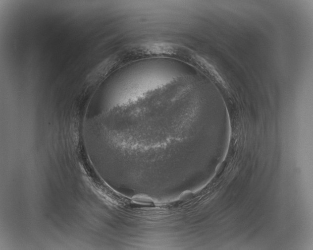 X0000084030402200702161440