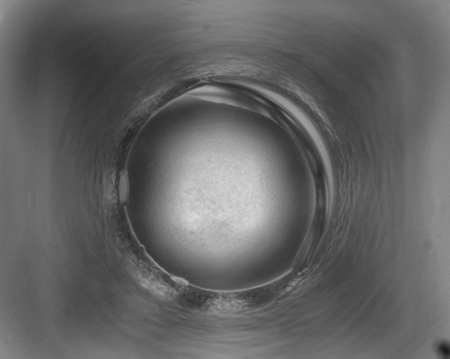 X0000084030403200702161440