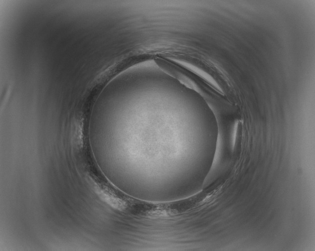 X0000084030404200702161440