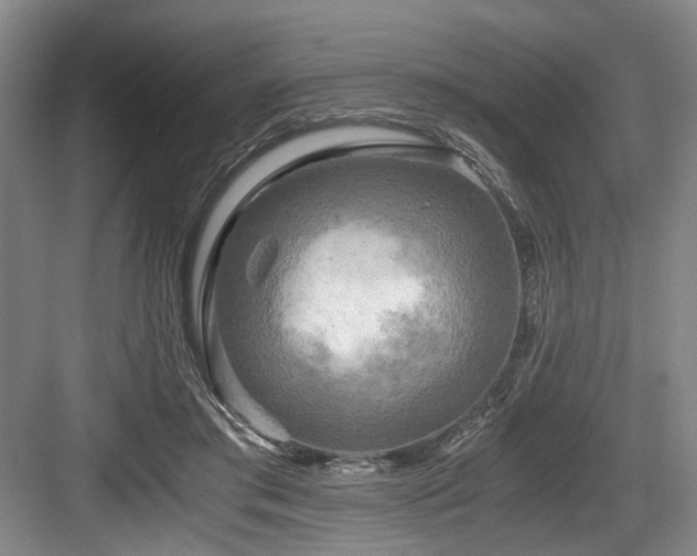 X0000084030405200702161440