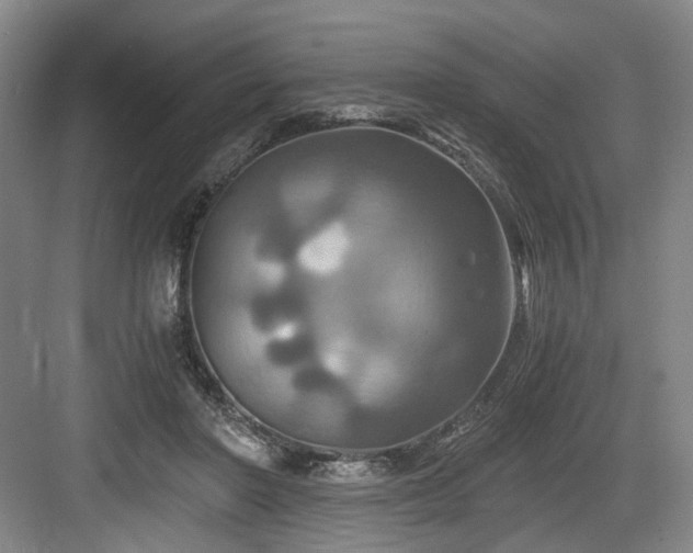 X0000084030406200702161440