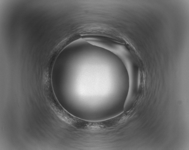 X0000084030407200702161440