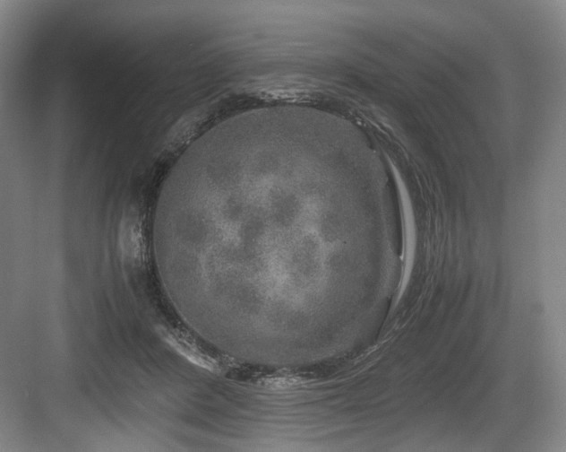 X0000084030408200702161440