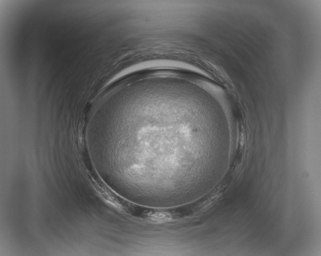 X0000084030409200702161440