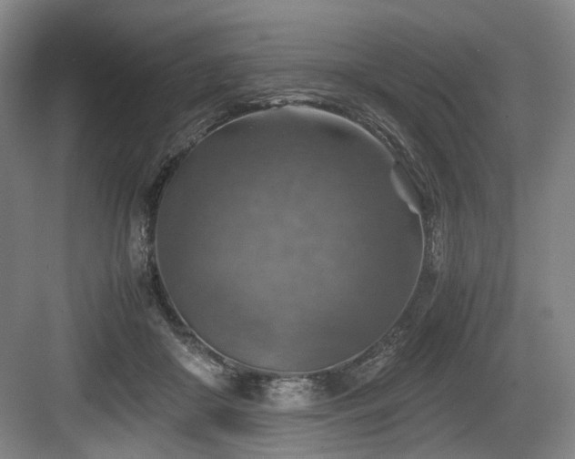 X0000084030410200702161440