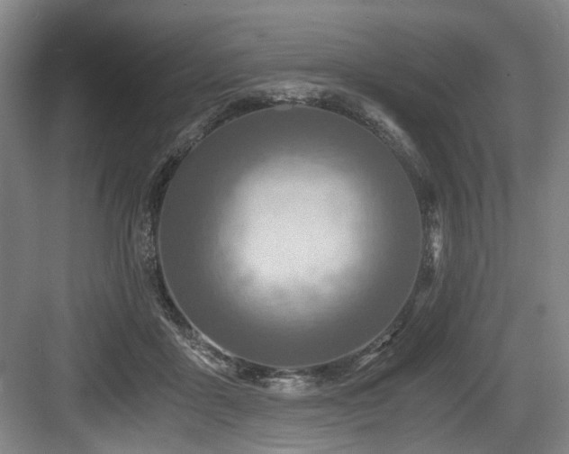 X0000084030411200702161440