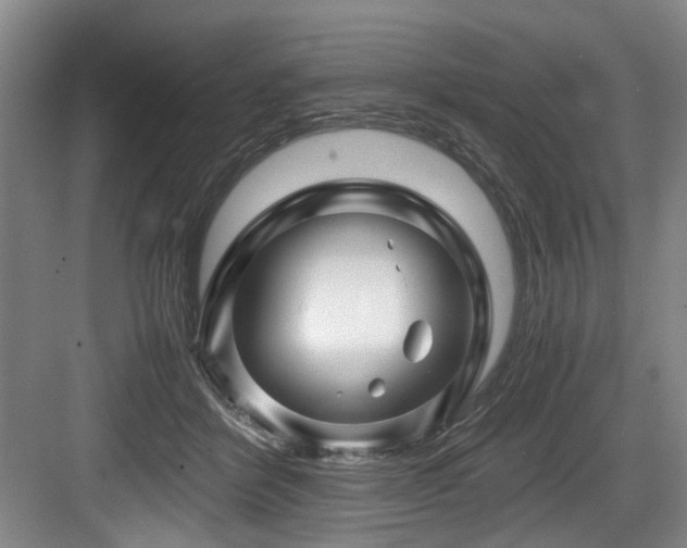 X0000084030412200702161440