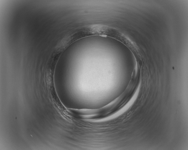 X0000084030413200702161440