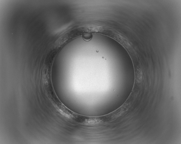 X0000084030414200702161440