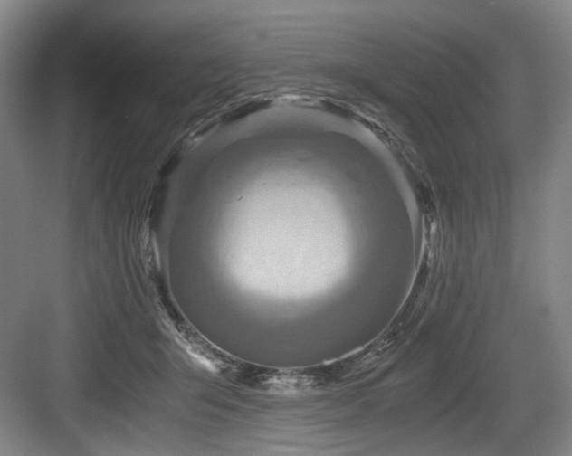 X0000084030415200702161439