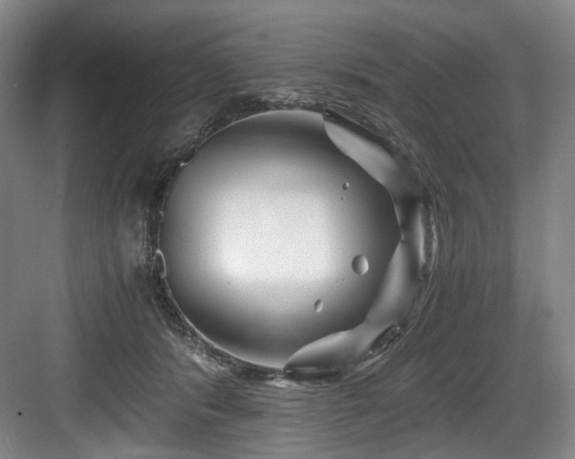 X0000084030416200702161439