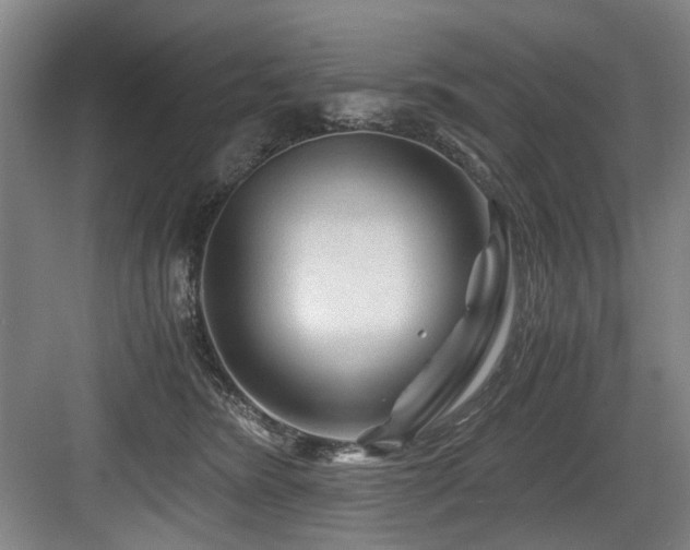 X0000084030420200702161439