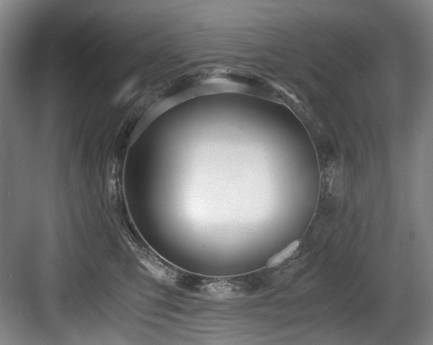 X0000084030423200702161439