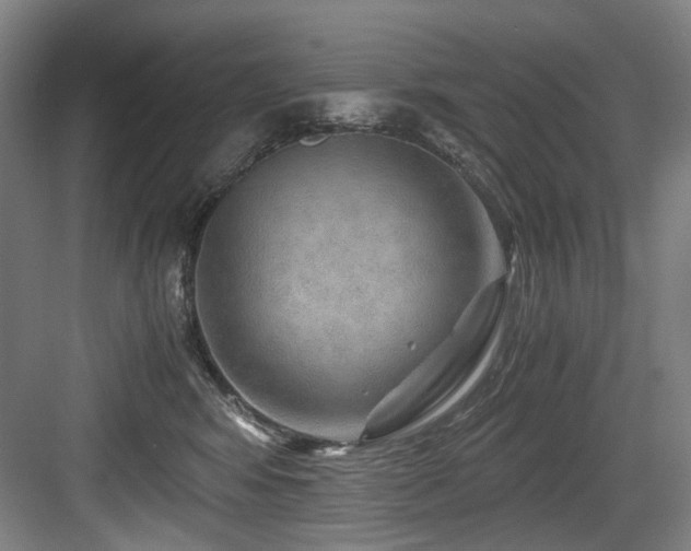 X0000084030424200702161439