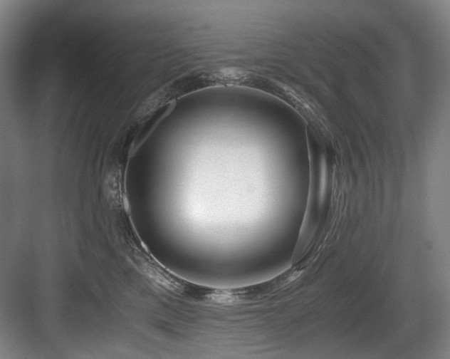 X0000084030425200702161439