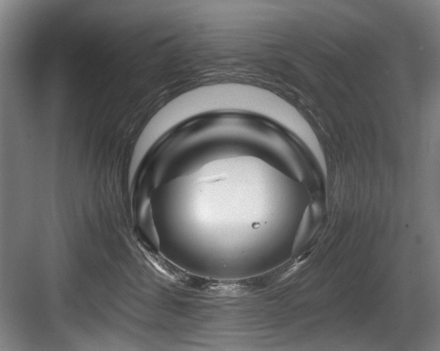 X0000084030428200702161439