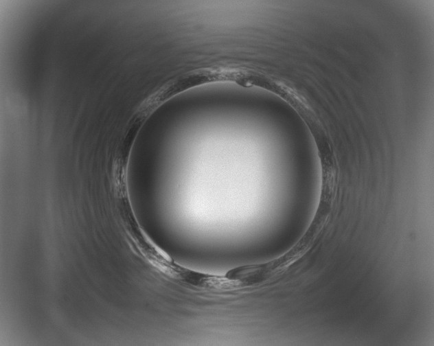 X0000084030429200702161439