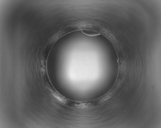 X0000084030430200702161439