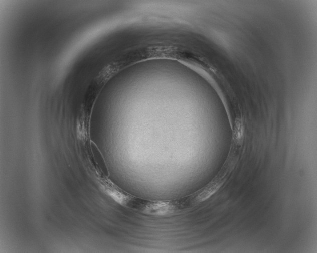 X0000084030431200702161439