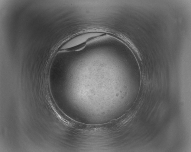 X0000084030433200702161438