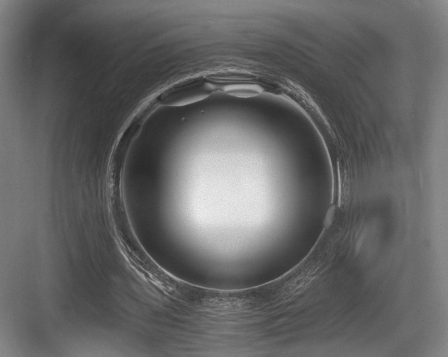 X0000084030435200702161438