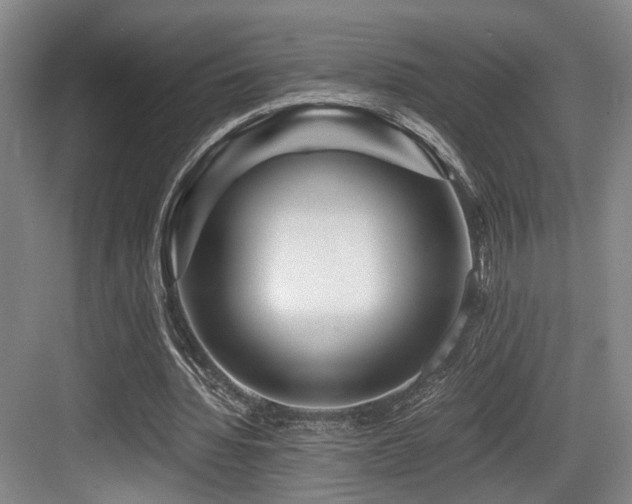 X0000084030436200702161438