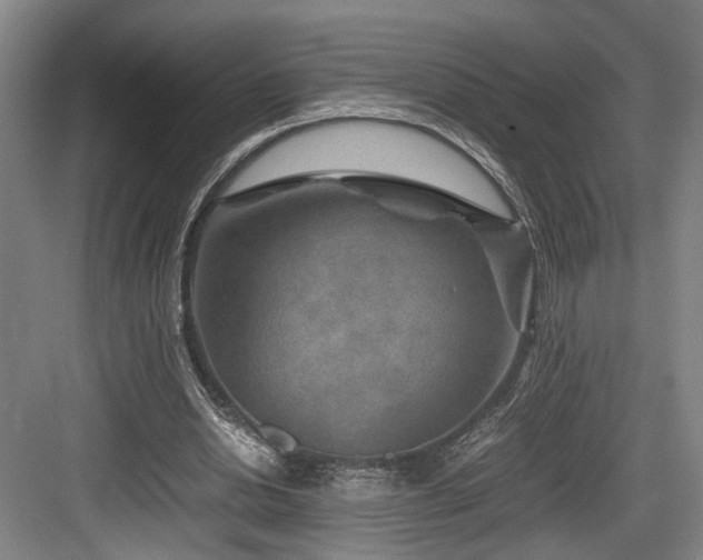 X0000084030438200702161438