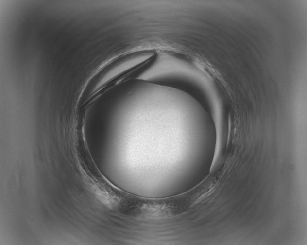 X0000084030440200702161439