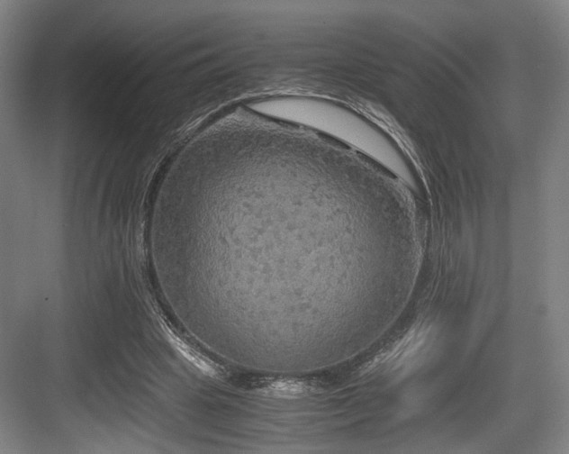 X0000084030441200702161439