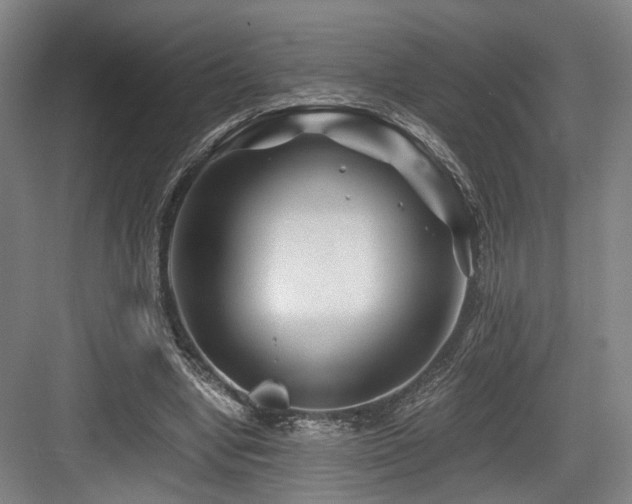 X0000084030442200702161439