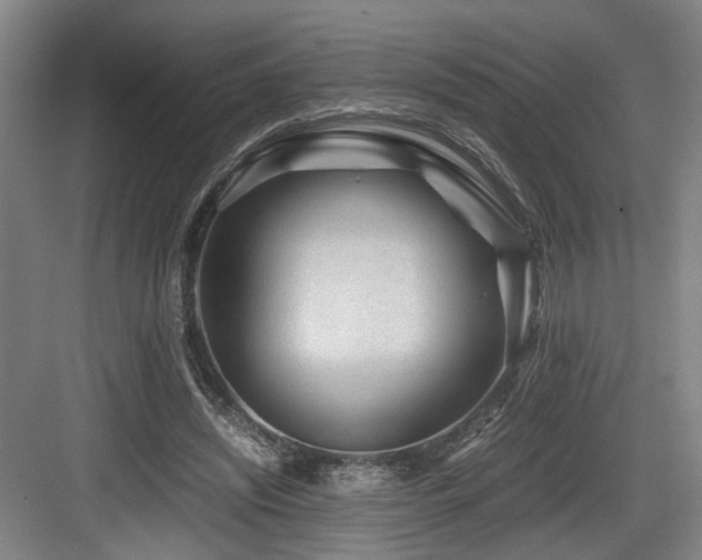 X0000084030444200702161439