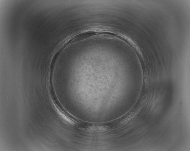 X0000084030445200702161439